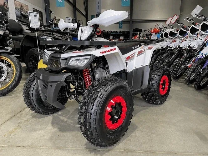 Tao Motor Hunter 125