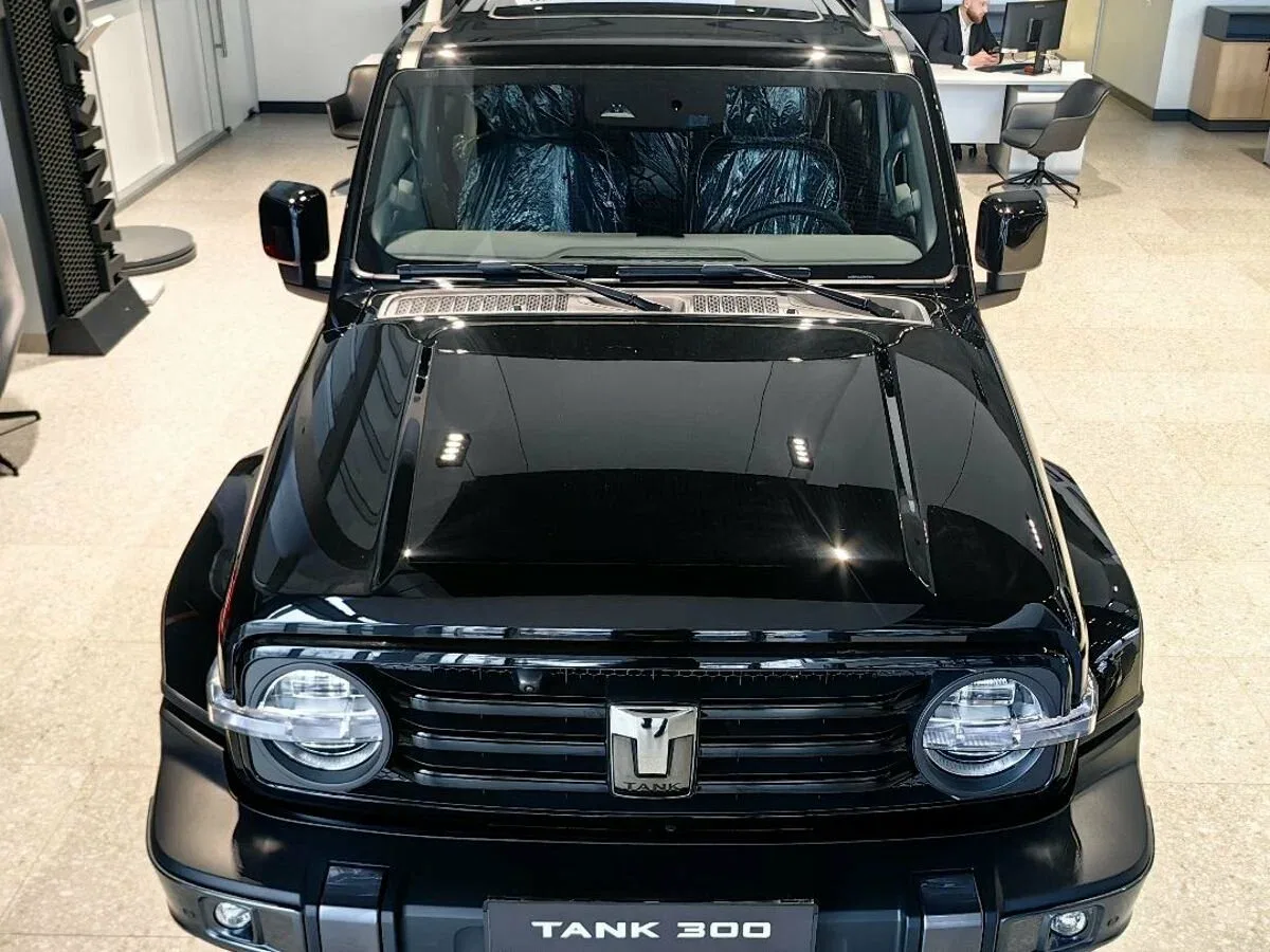 Tank 300 I