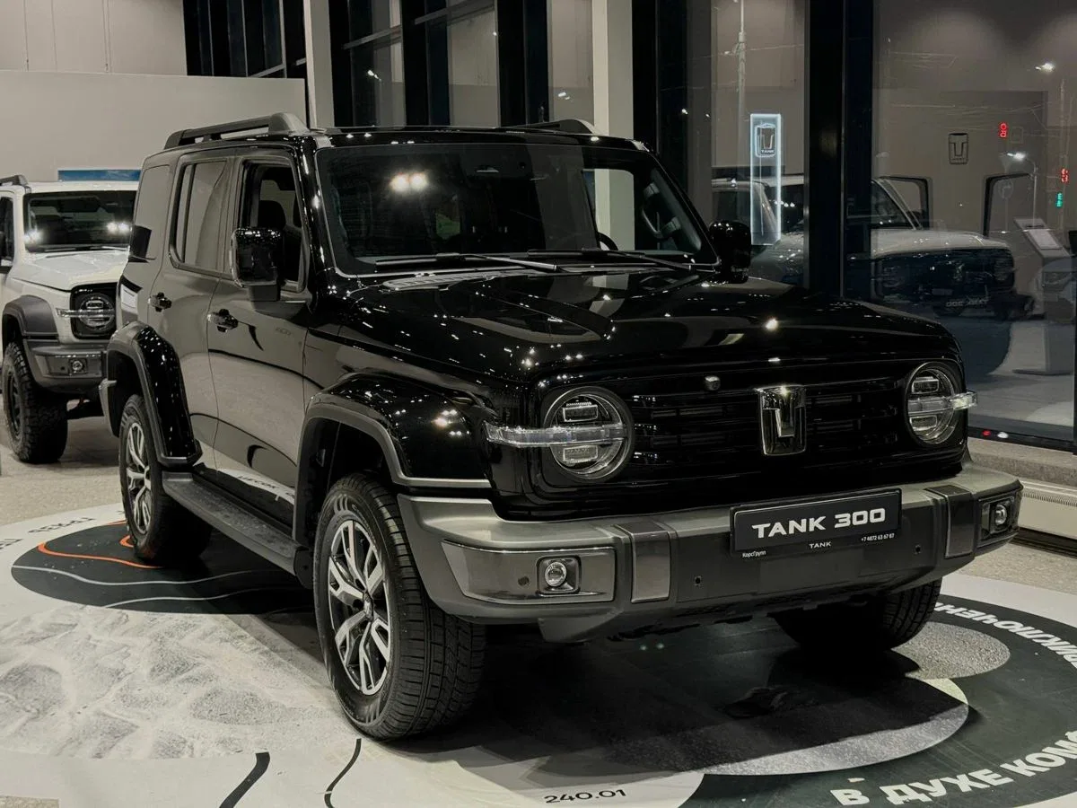 Tank 300 I