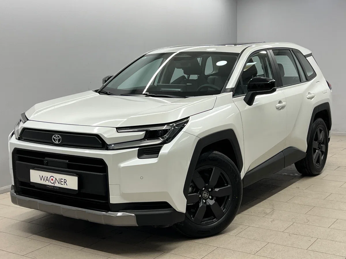 Toyota RAV4 VI (XA60)