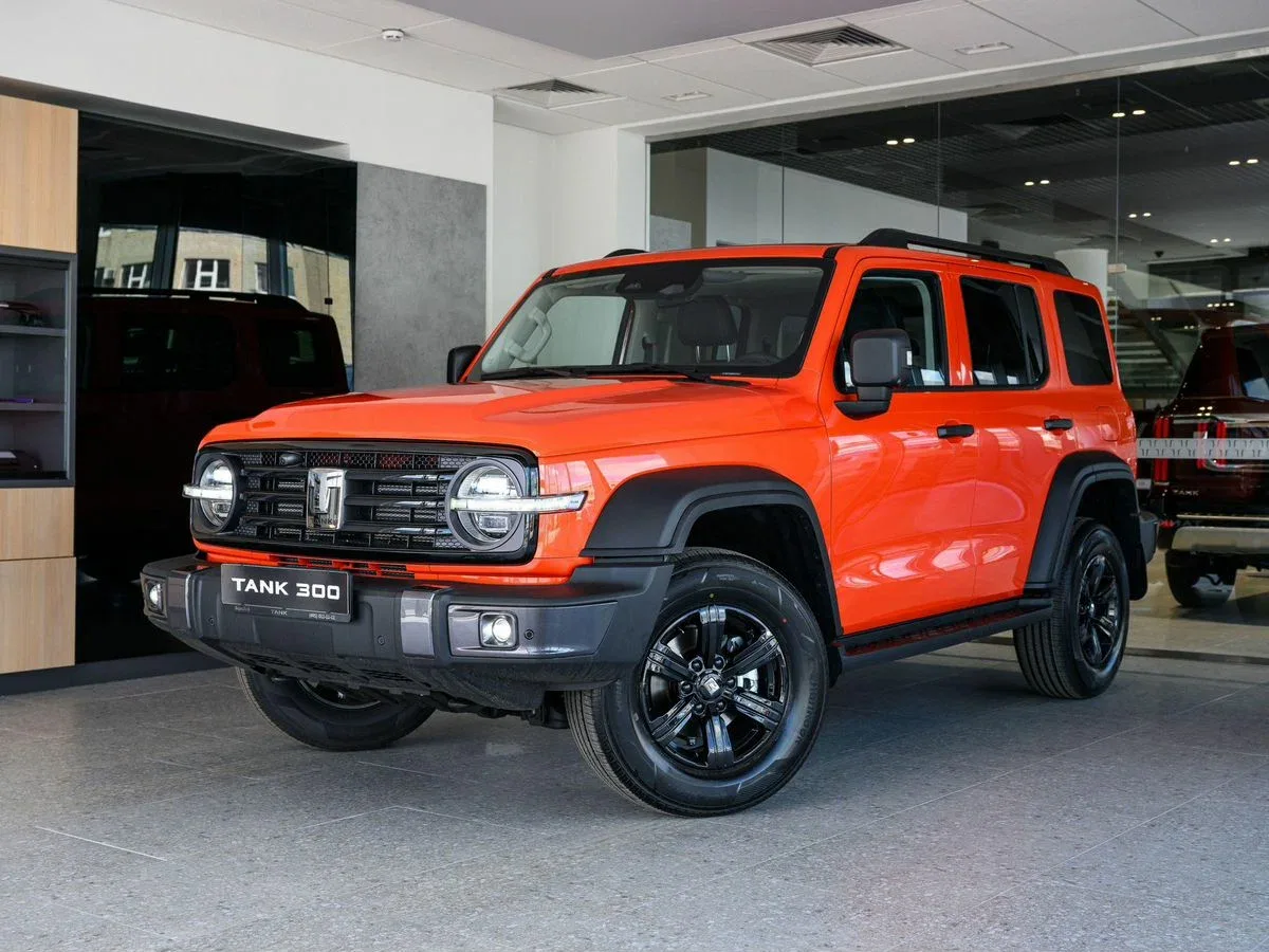 Tank 300 I