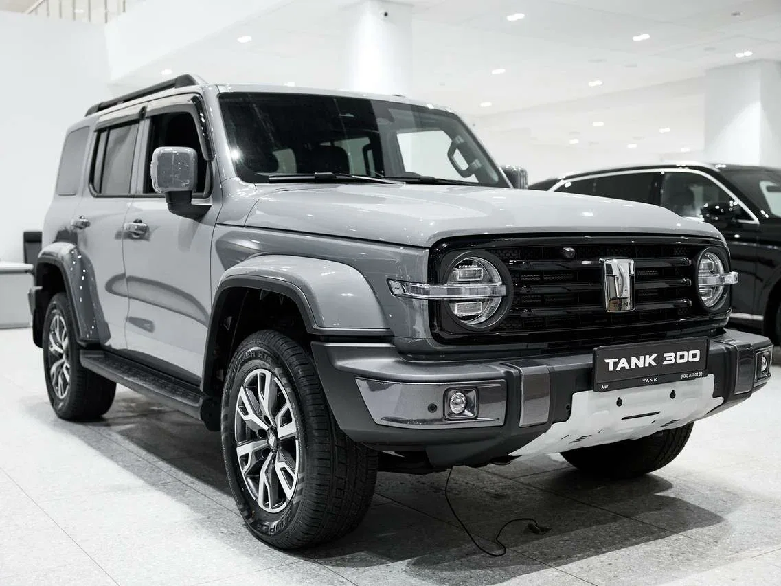 Tank 300 I