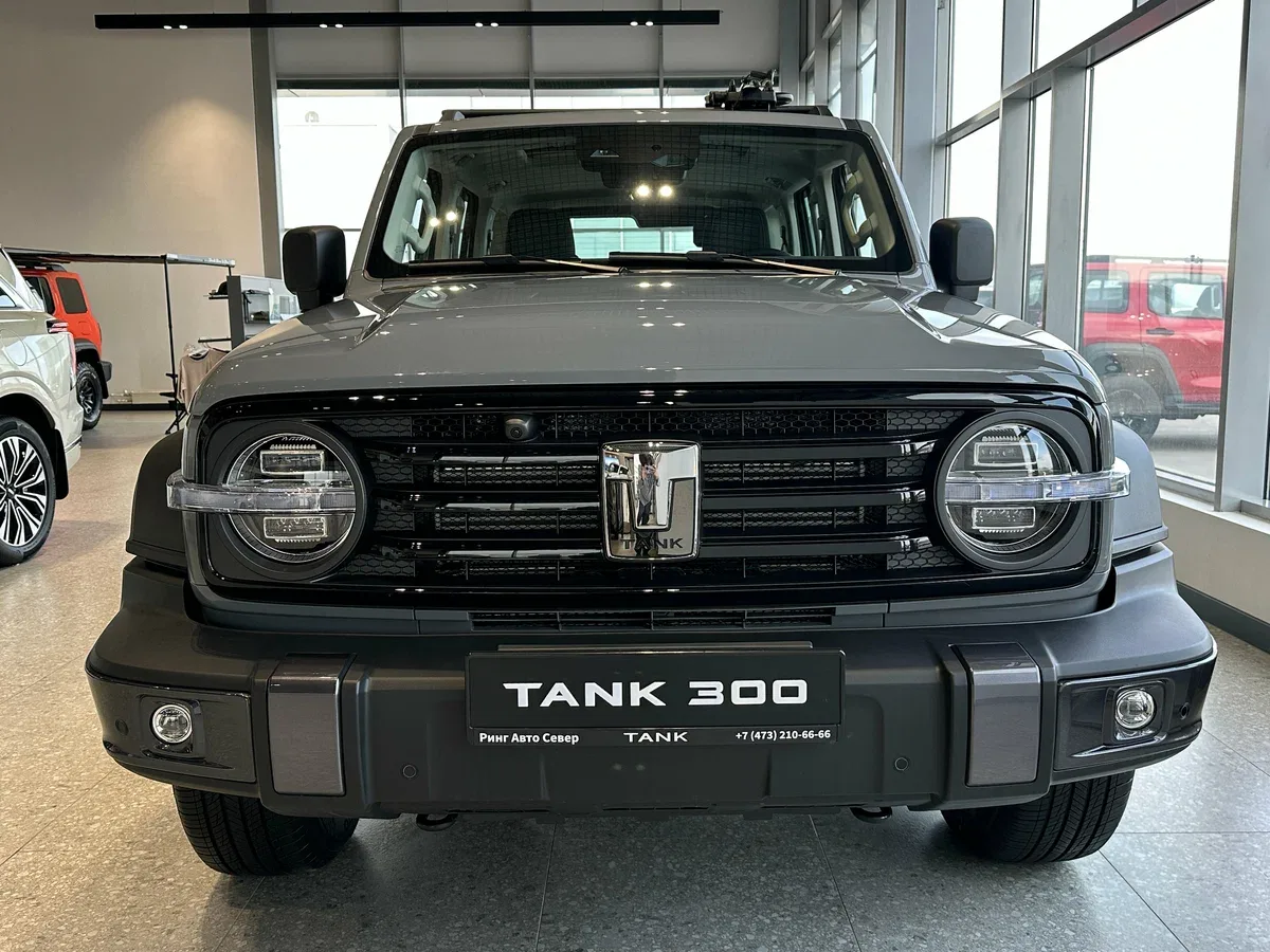 Tank 300 I