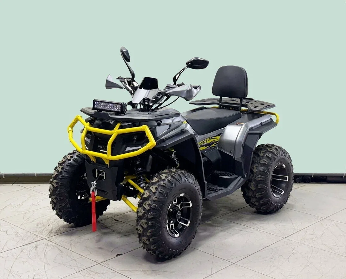 Bison ATV 250F