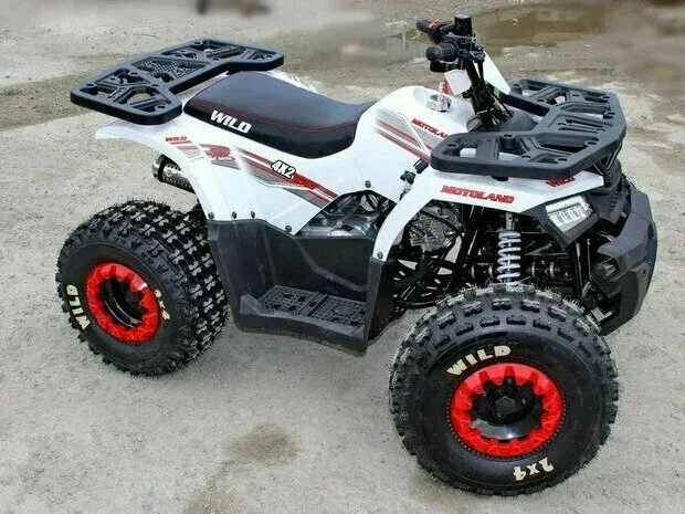 Motoland Wild 125