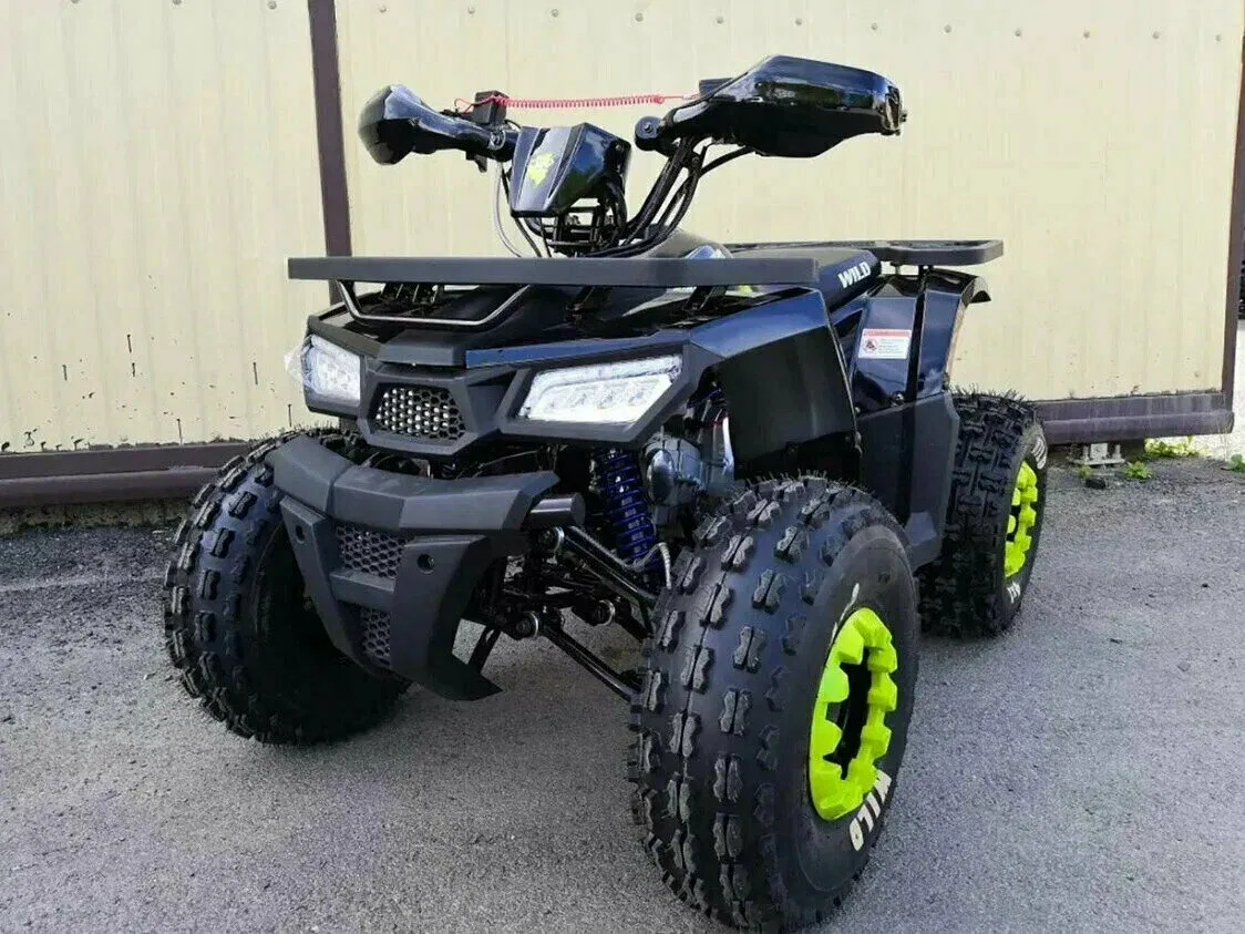 Motoland Wild 125