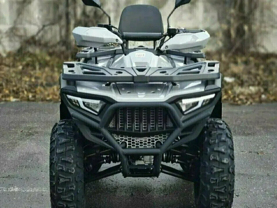 Bashan Explorer 320