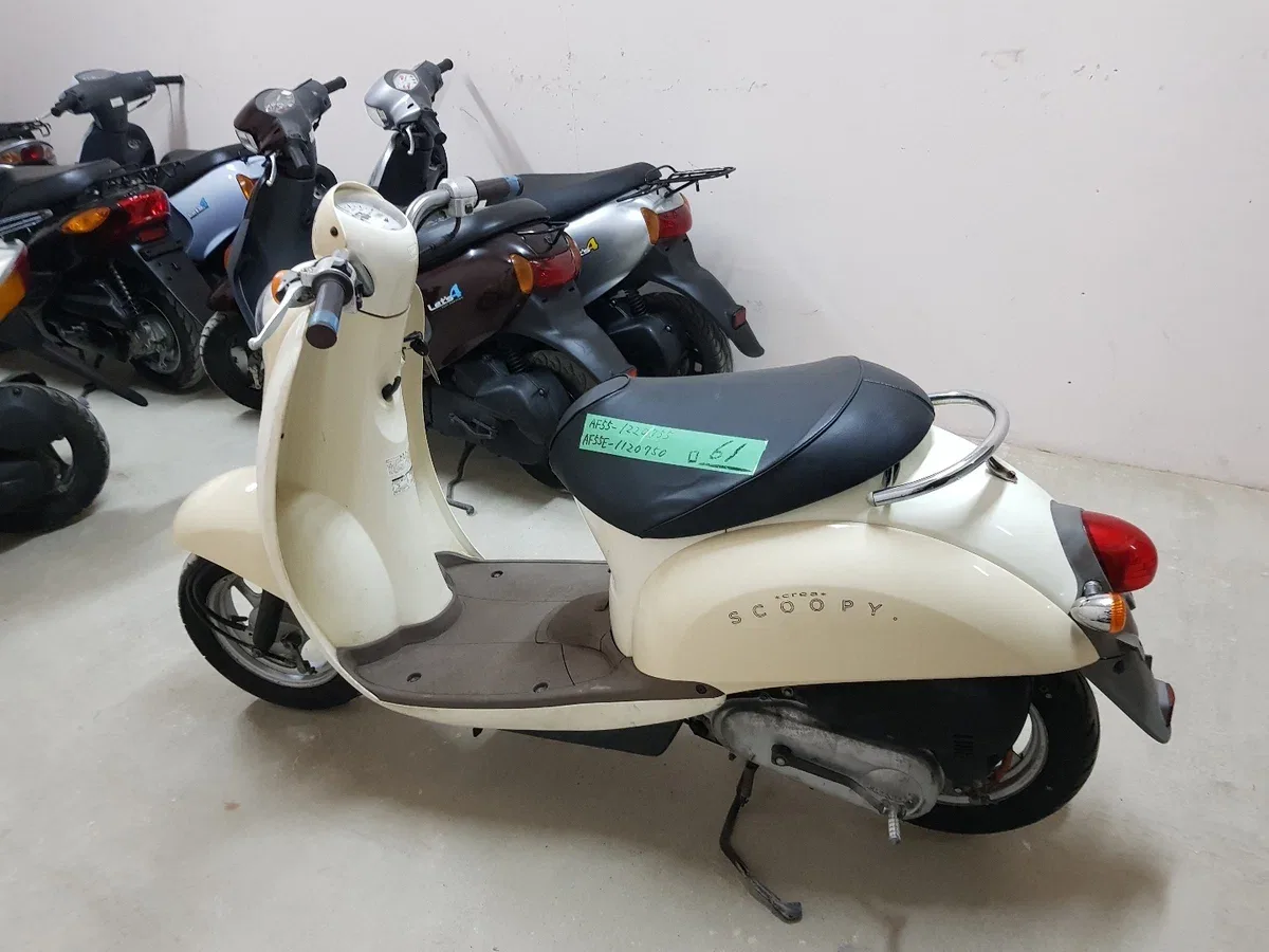 Honda Scoopy I