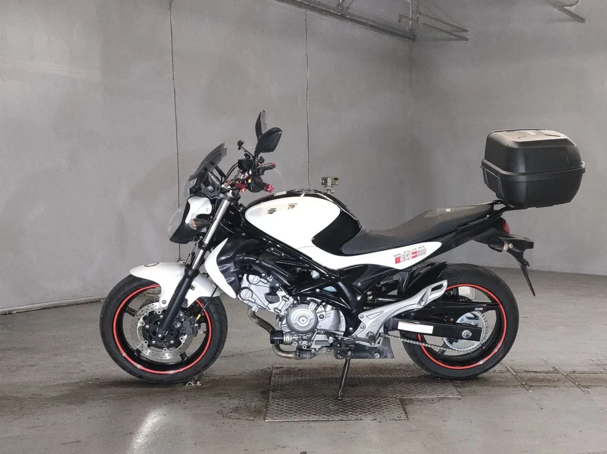 Suzuki SFV 650 Gladius
