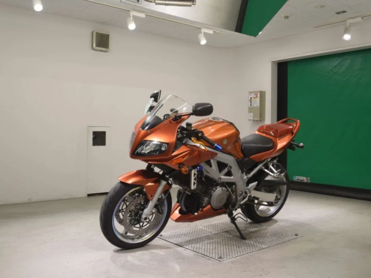 Suzuki SV 1000