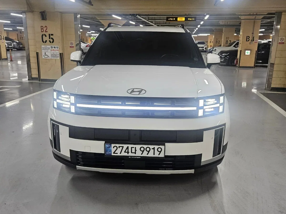 Hyundai Santa Fe V (MX5)
