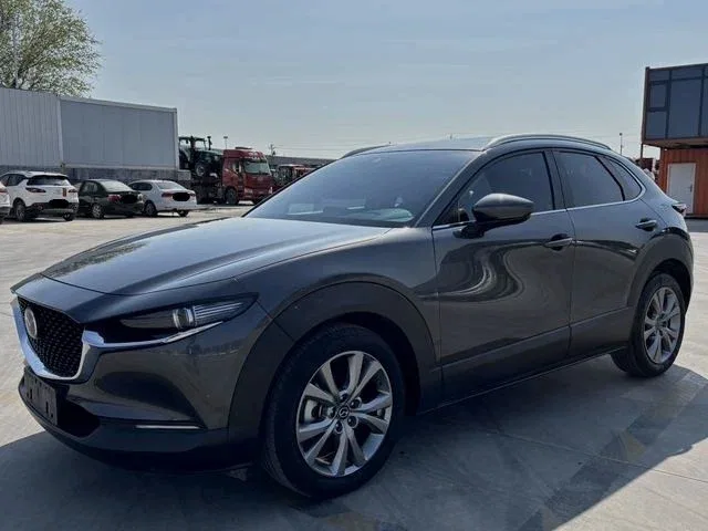 Mazda CX-30 I