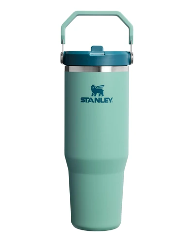 Stanley IceFlow 2.0 Flip Straw Tumbler 30 oz
