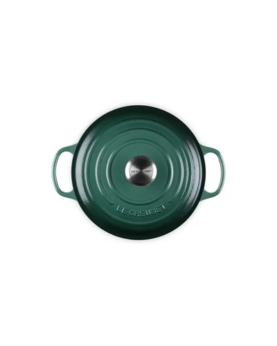 Кастрюля Le Creuset Signature 4.5 qt Зелёный Artichaut