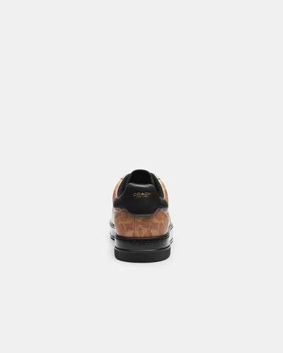Мужские кроссовки Coach High Line с принтом Signature
