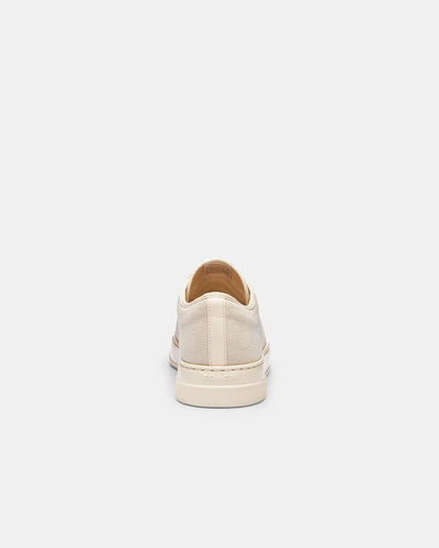 Кеды Coach из фирменного жаккарда
