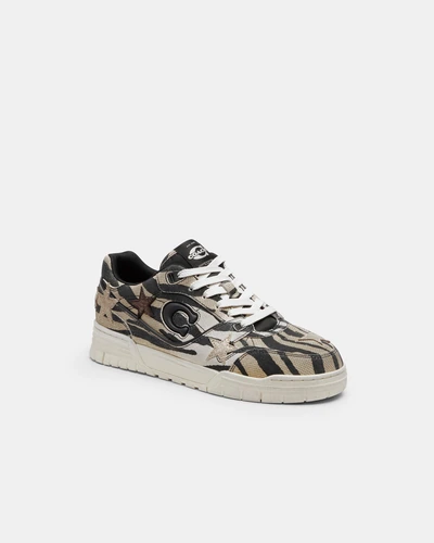Кроссовки Coach Soho со звездами