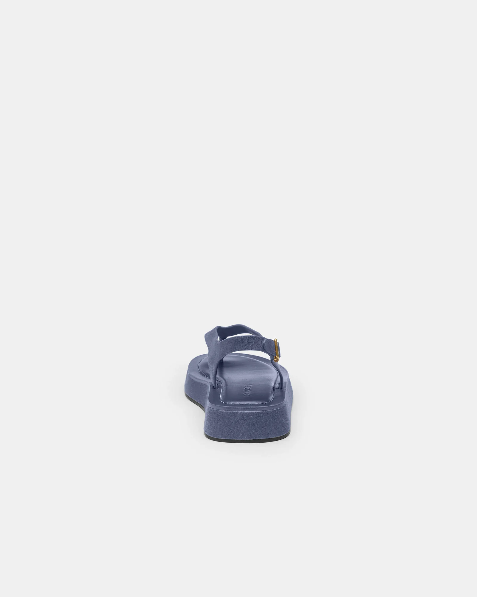 Сандалии Coach Sculpted C на платформе, голубые — 1