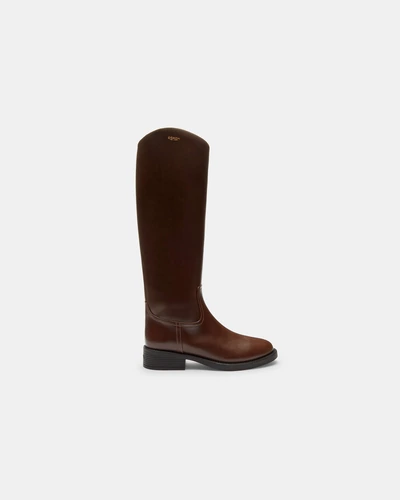 Высокие сапоги Coach Park Tall