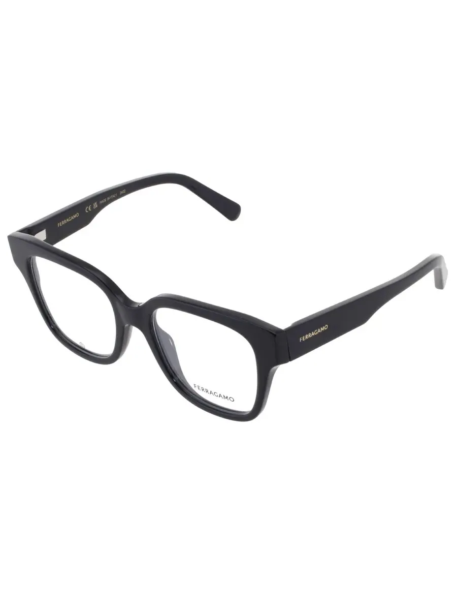 Очки для женщин Ferragamo Demo Square SF2952N 001 53 — 3