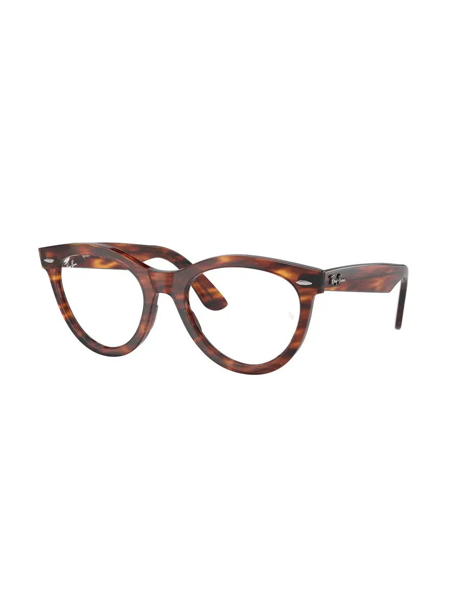 Ray-Ban Очки Ray Ban Demo Oval унисекс RX2241V 2144 51
