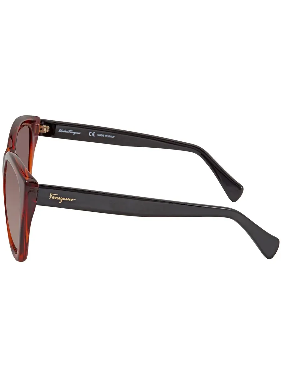 Солнцезащитные очки для женщин Salvatore Ferragamo Brown Cat Eye SF957S 214 56 — изображение 4 из 4, коричневый