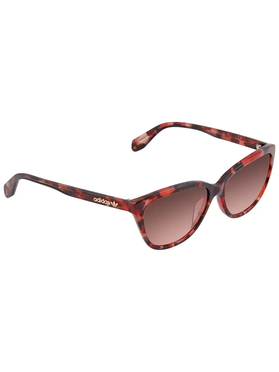 Женские солнцезащитные очки Adidas Originals Gradient Bordeaux Cat Eye OR0041 55T 58 — изображение 2 из 3, окрашенный авана