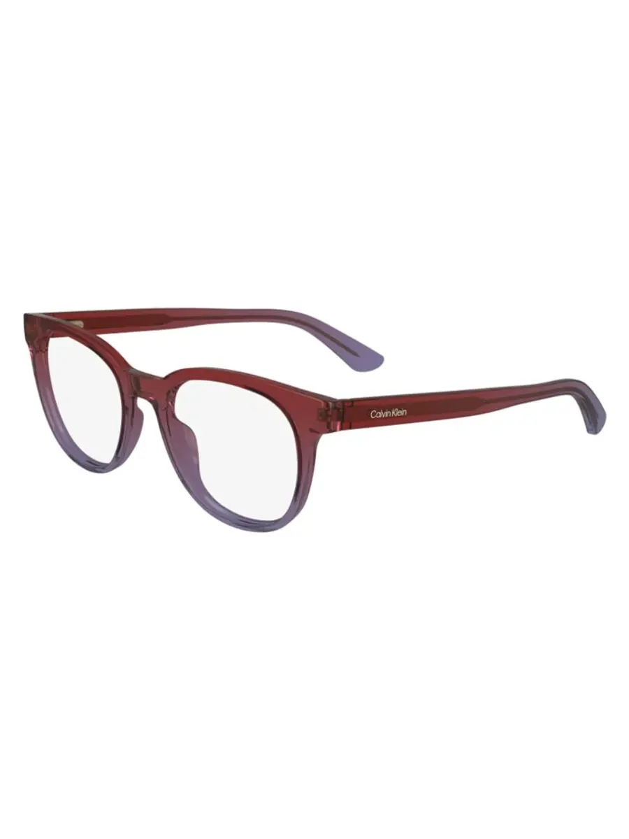 Очки унисекс Calvin Klein Demo Oval CK24522 603 50