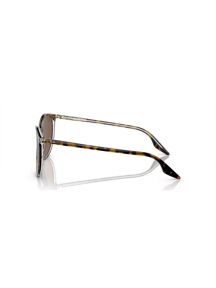 Унисекс поляризованные солнцезащитные очки, RB2204 Ray-Ban — изображение 4 из 7, прозрачный
