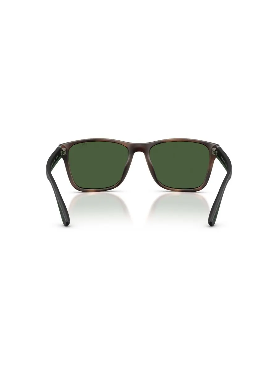 Мужские солнцезащитные очки большого размера, PH4229U Polo Ralph Lauren, Matte Dark Havana — изображение 3 из 6