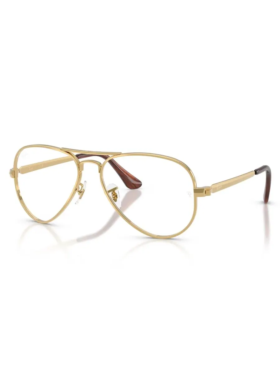 Очки Ray-Ban RB3925V Aviator Max Optics