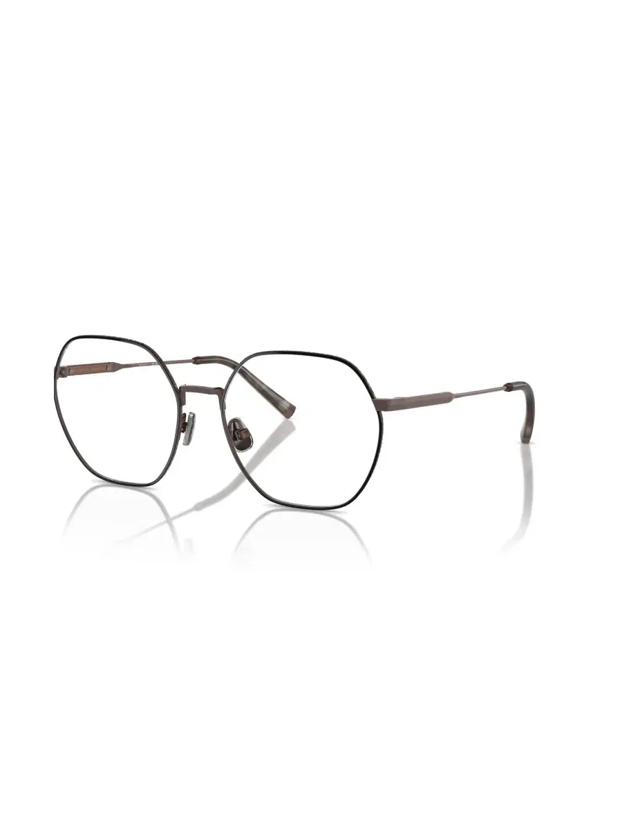 Очки оптические Irregular Titanium BC1001T Brunello Cucinelli — черный