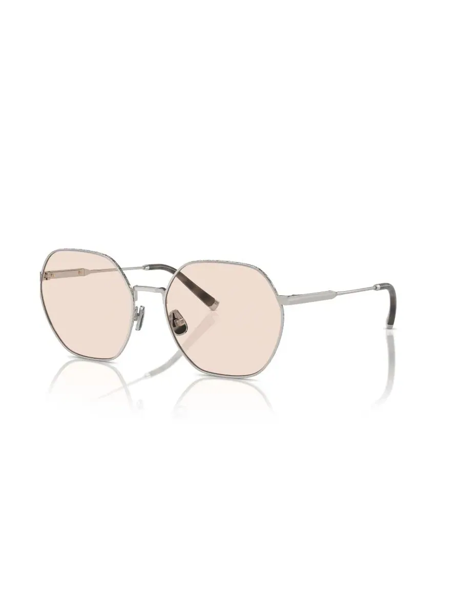 Очки оптические Irregular Titanium BC1001T Brunello Cucinelli — серебристый