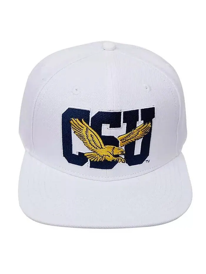 Мужская белая шерстяная шляпа Coppin State Eagles Evergreen Snapback Pro Standard — белый