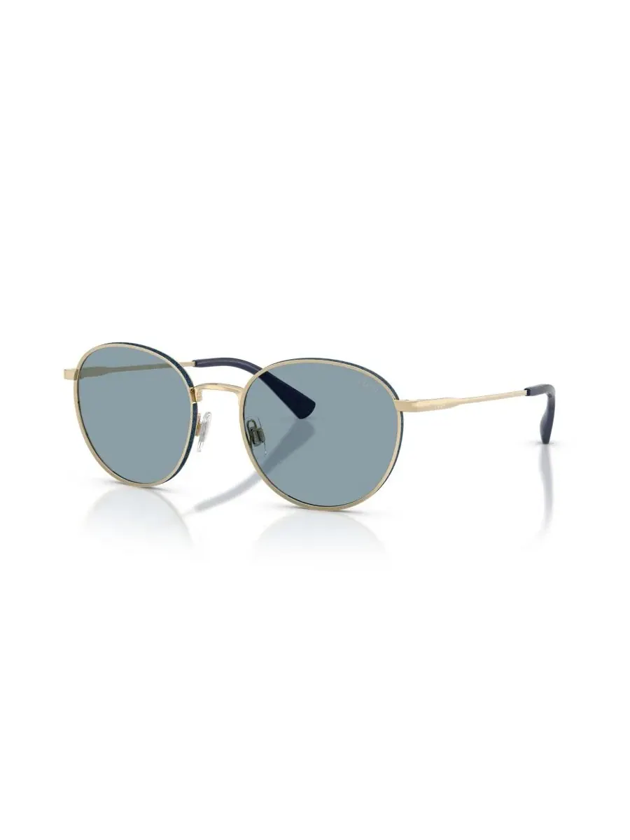 Мужские круглые солнцезащитные очки, PH3163 Polo Ralph Lauren