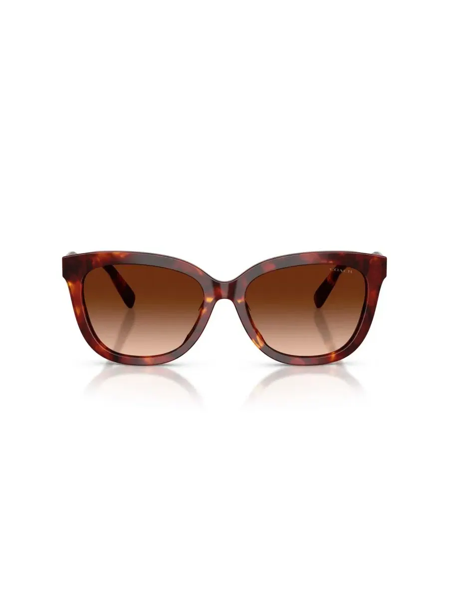 Женские квадратные солнцезащитные очки, CDP53 HC8453U COACH, Walnut Tortoise — изображение 2 из 6