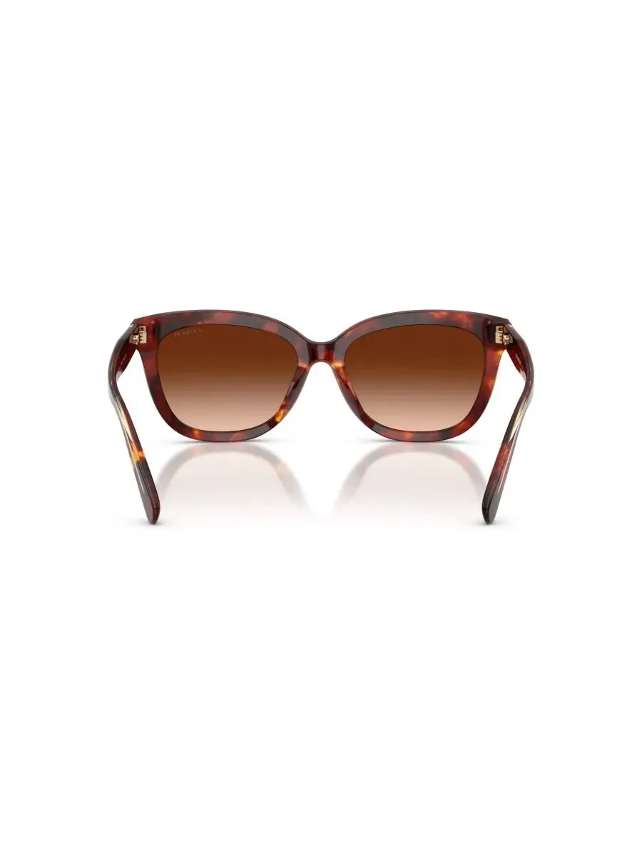 Женские квадратные солнцезащитные очки, CDP53 HC8453U COACH, Walnut Tortoise — изображение 4 из 6