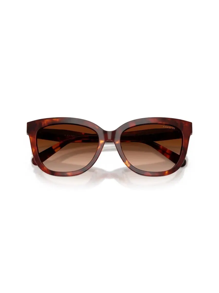 Женские квадратные солнцезащитные очки, CDP53 HC8453U COACH, Walnut Tortoise — изображение 5 из 6