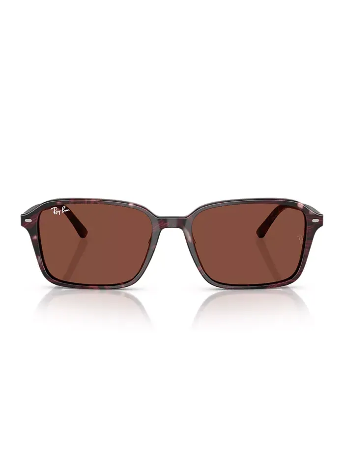 Унисекс солнцезащитные очки Raimond Round, модель RB2231 Ray-Ban — изображение 7 из 10, серый