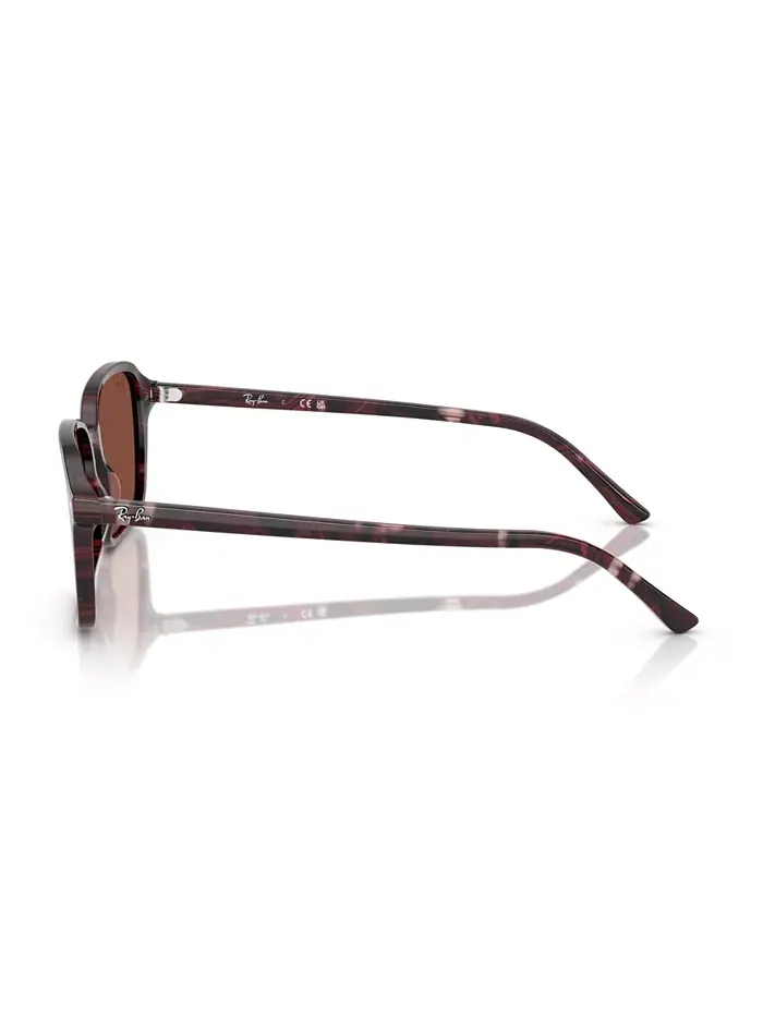 Унисекс солнцезащитные очки Raimond Round, модель RB2231 Ray-Ban — изображение 8 из 10, серый