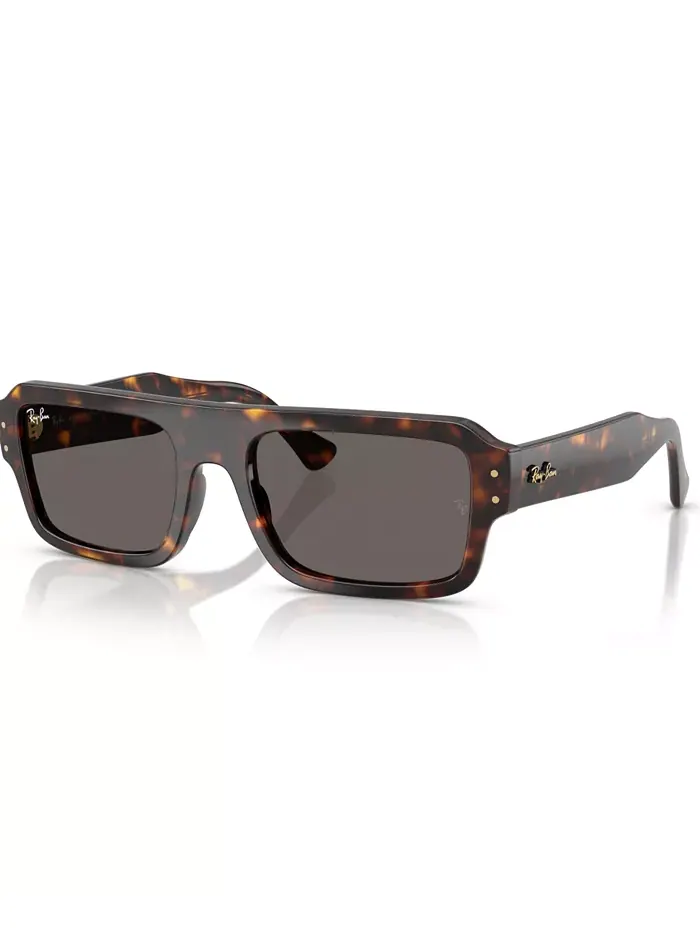 Солнцезащитные очки Ray-Ban Lukas RB4454 — изображение 1 из 6, коричневый
