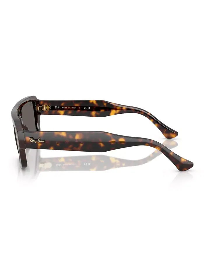 Солнцезащитные очки Ray-Ban Lukas RB4454 — изображение 3 из 6, коричневый