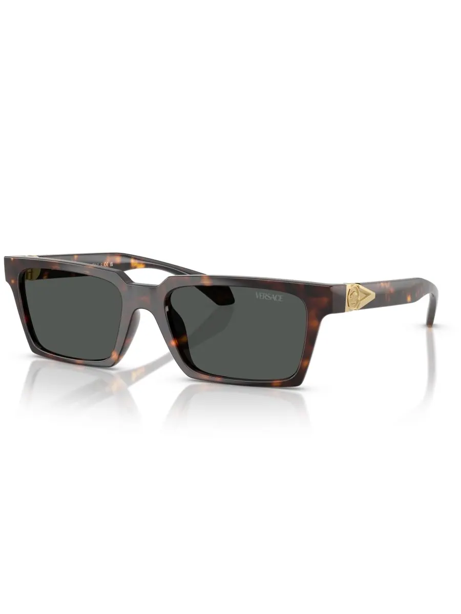 Мужские солнцезащитные очки большого размера, VE4490U Versace
