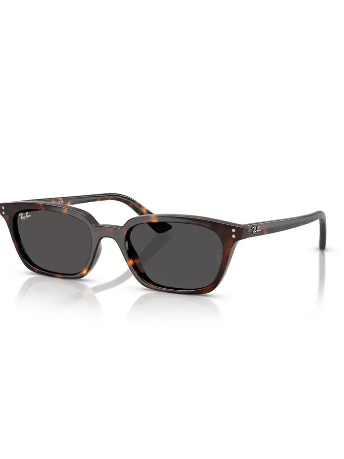Унисекс поляризованные солнцезащитные очки Zaya, RB4456 Ray-Ban — изображение 1 из 6, коричневый