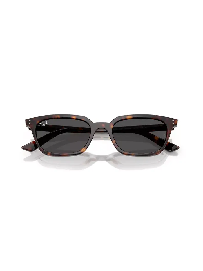 Унисекс поляризованные солнцезащитные очки Zaya, RB4456 Ray-Ban — изображение 2 из 6, коричневый