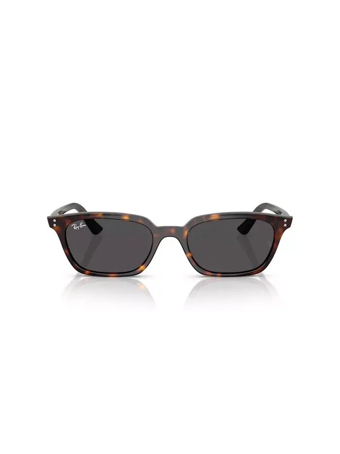 Унисекс поляризованные солнцезащитные очки Zaya, RB4456 Ray-Ban — изображение 4 из 6, коричневый