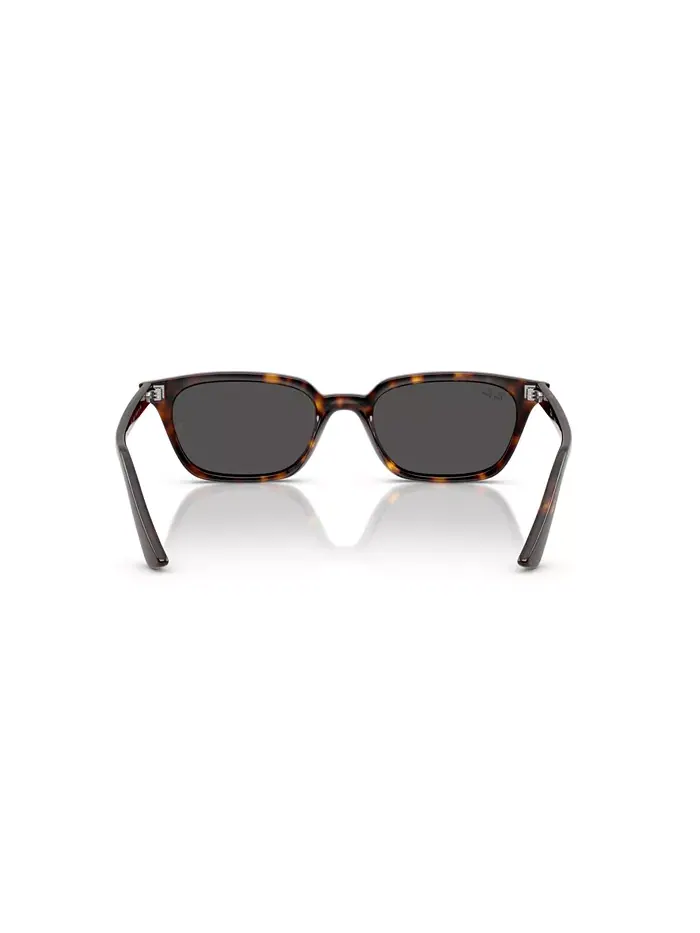 Унисекс поляризованные солнцезащитные очки Zaya, RB4456 Ray-Ban — изображение 5 из 6, коричневый