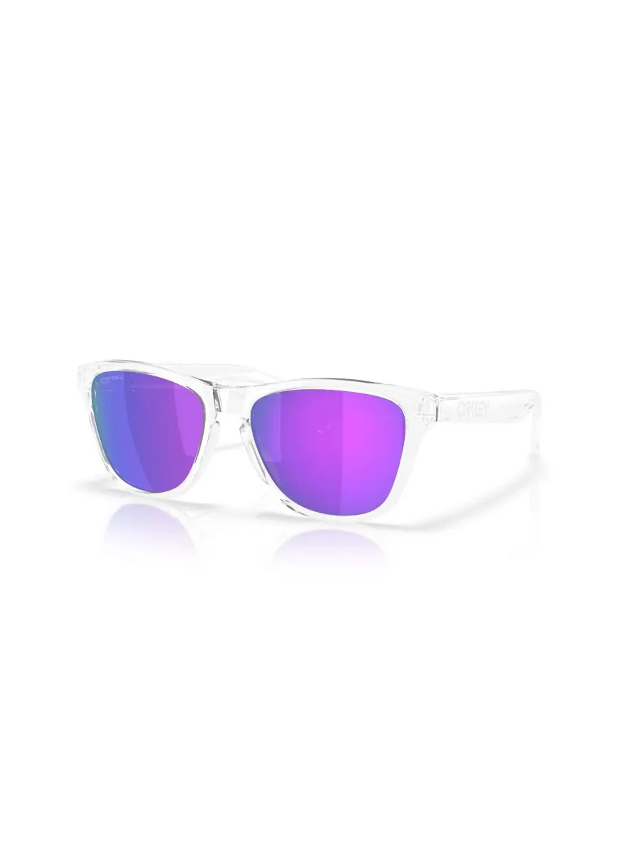 Мужские круглые солнцезащитные очки, Frogskins S OO9508 Oakley