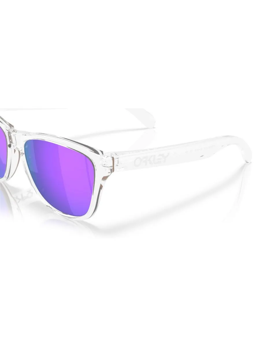 Мужские круглые солнцезащитные очки, Frogskins S OO9508 Oakley — изображение 6 из 8, прозрачный