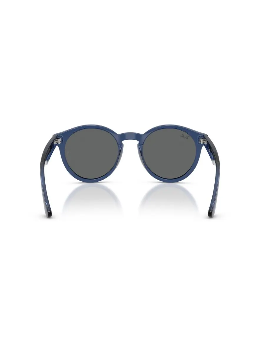 Солнцезащитные очки унисекс круглой формы, RBR0505S Ray-Ban — изображение 4 из 4